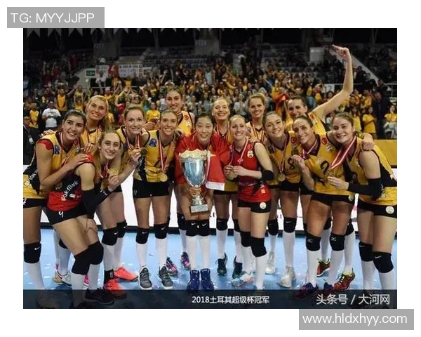 南京排球队状态分析与表现评估大满贯点评