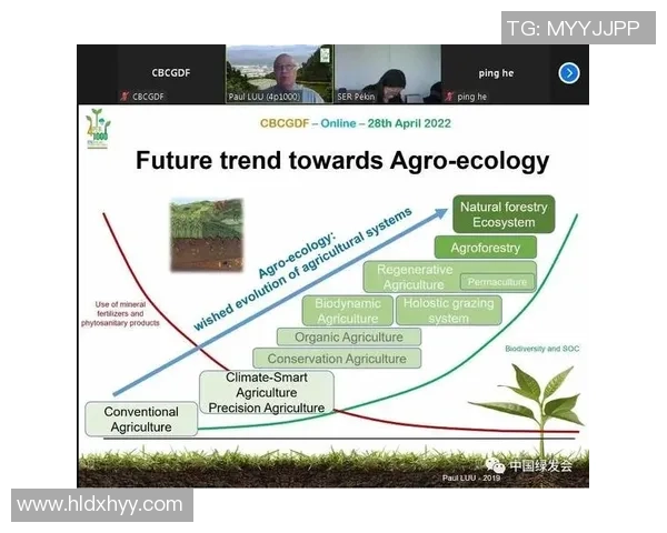 张楠在足球领域的崛起与发展历程探讨及其对中国足球的影响分析