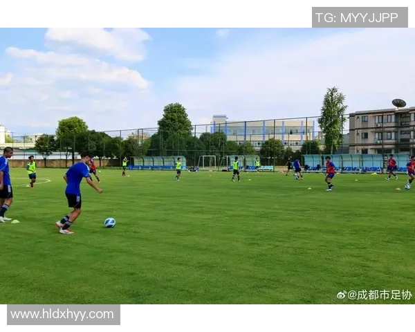 探索cas足球的魅力与技术分析助力青少年足球发展新趋势 探索cas足球的魅力与技术分析助力青少年足球发展新趋势